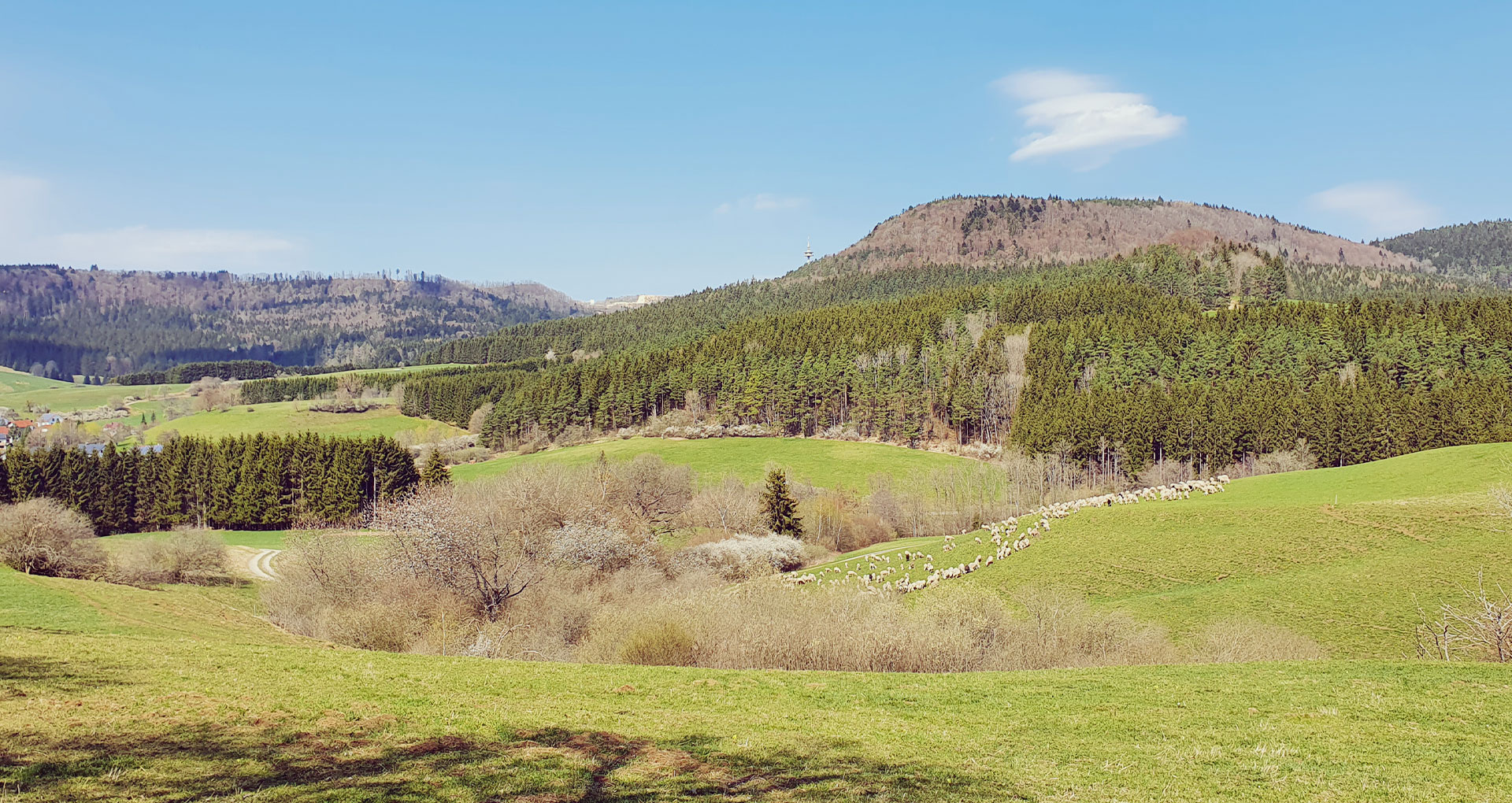 Arrangements im Hotel Brielhof