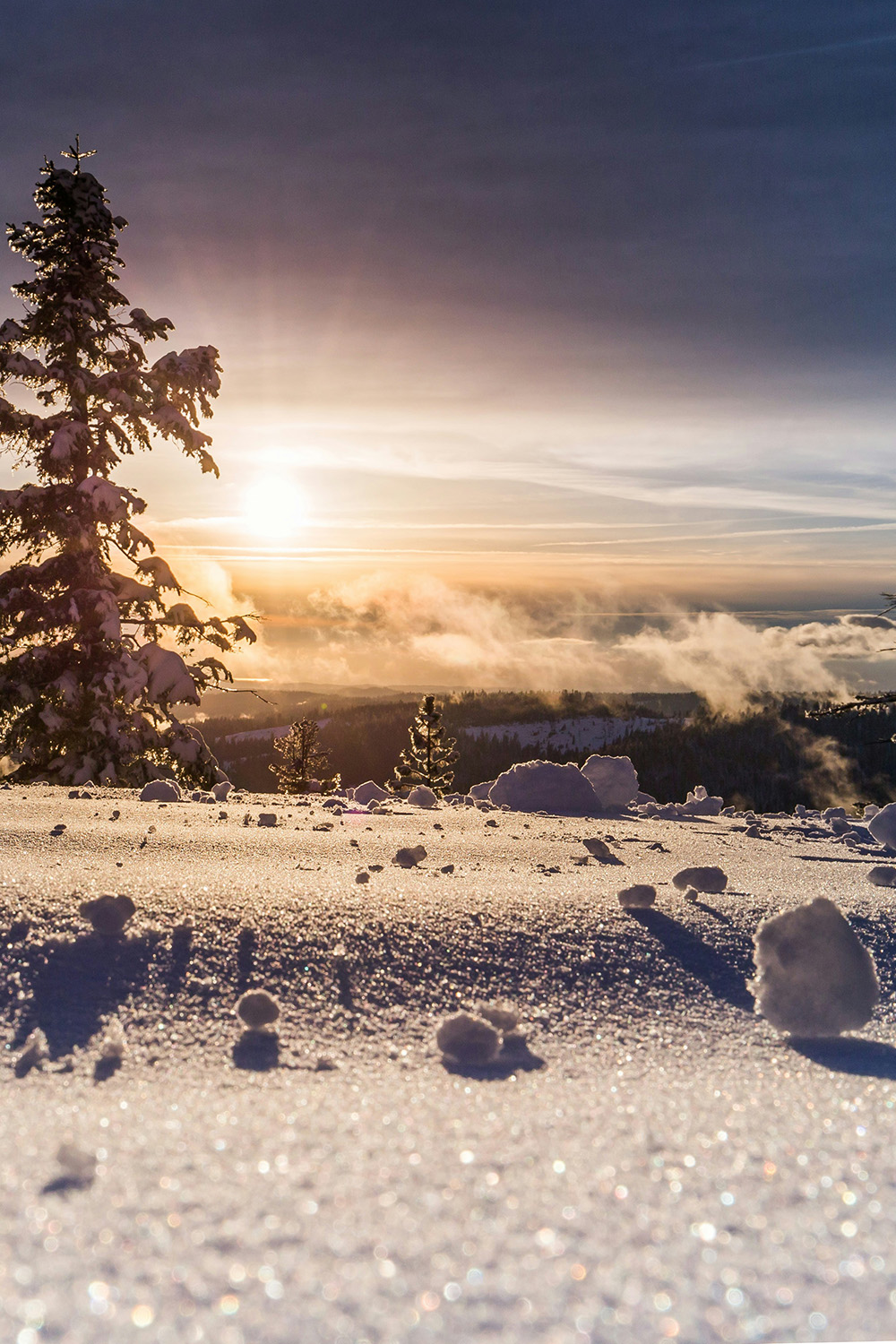 Winterfreuden auf der Alb